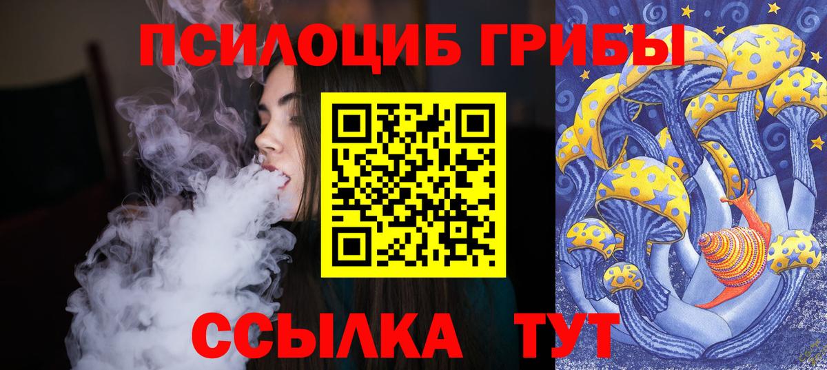 Рязань  Псилоцибиновые грибы MAGIC MUSHROOMS  Галлюциногенные грибы Magic Shrooms  Вход с VPN 