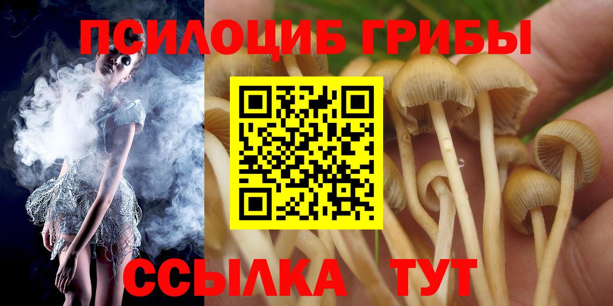 Псилоцибиновые грибы мухоморы Рязань